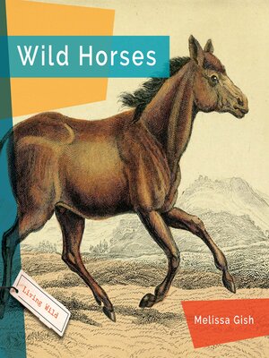 cover image of Wild Horses